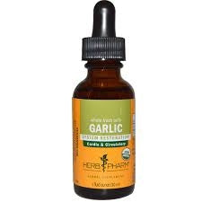 Garlic Extract